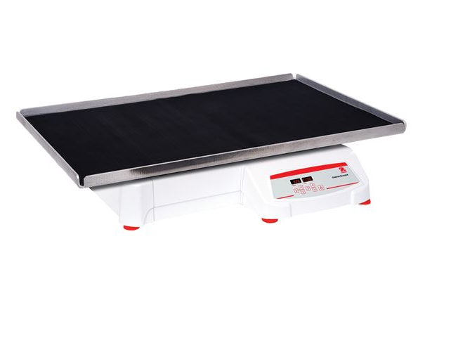 美國奧豪斯，OHAUS，脫色搖床，回旋振蕩器，圓周振蕩器，大負(fù)載圓周式搖床，SHHD6825DG