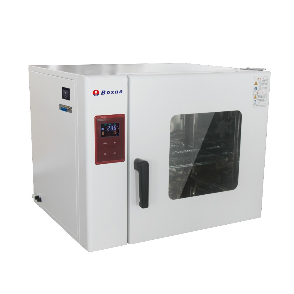 上海博迅-電熱鼓風干燥箱BGZ-240