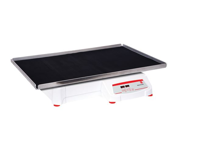 美國奧豪斯，OHAUS，脫色搖床，回旋振蕩器，圓周振蕩器，大負(fù)載圓周式搖床，SHHD6850DG